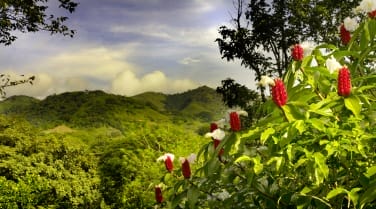 Costa Rica - guide - regions - not northwest