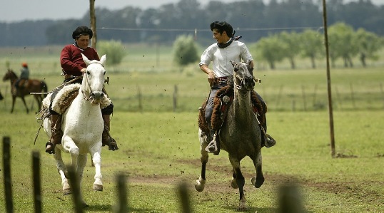 Argentina - guide - regions