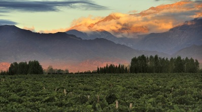 Argentina - types