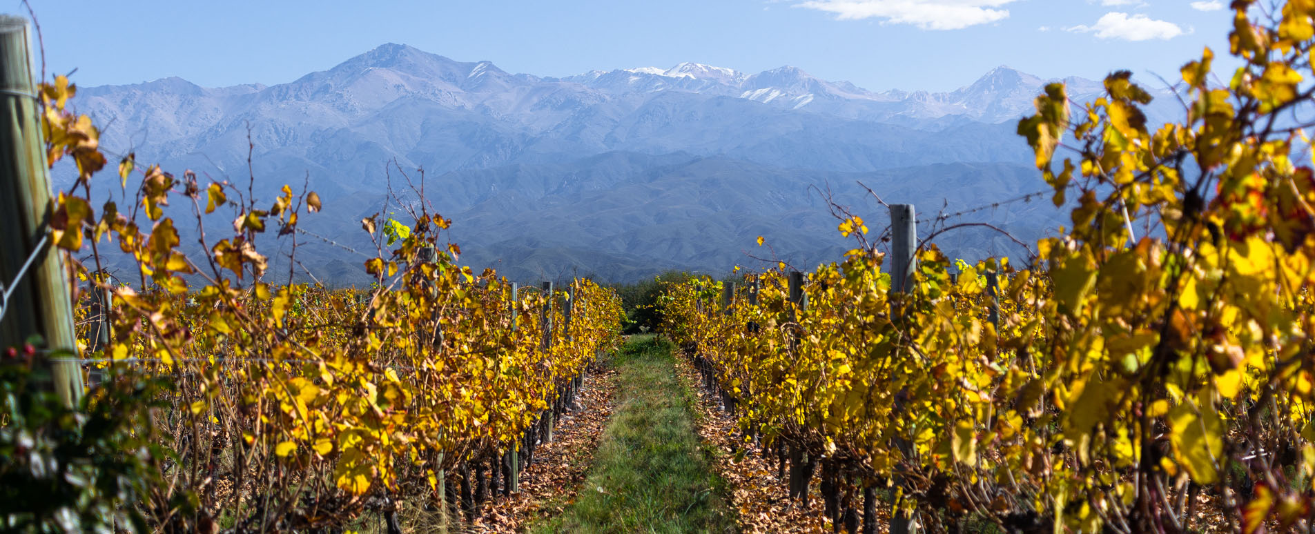 Argentina Travel Guide | Mendoza | Geodyssey