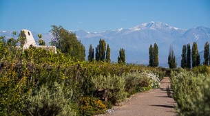 Bodegas of Mendoza