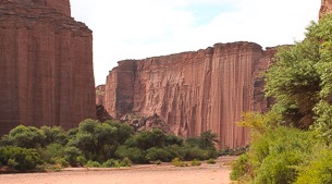 Sandstone cliffs, Petroglyphs and rare fauna