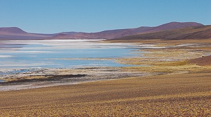 Altiplanic Lagoons