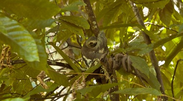 Brazil - guide - regions - Amazon - not Manaus