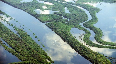 Brazil 'Amazon Odyssey - Anavilhanas'