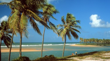 Brazil 'The Coral Coast'