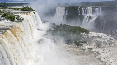 Brazil - themes - birdwatching