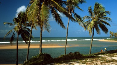 Brazil - themes - beach  xxx