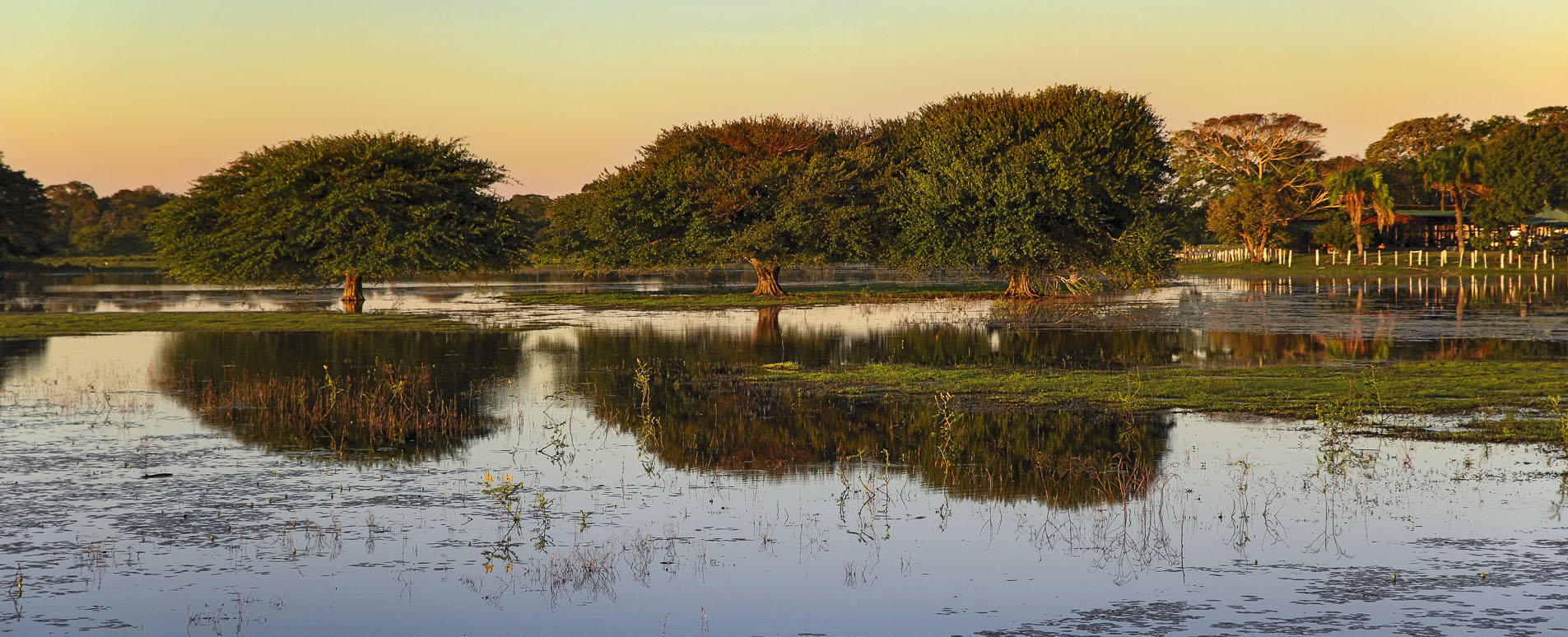 pantanal brazil