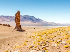 Sculptures of the desert