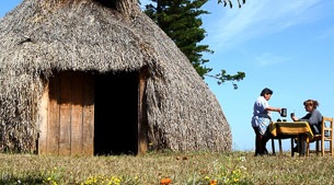 Mapuche Culture