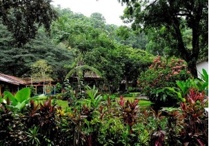 Villa Lapas Rainforest Resort