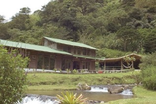 Bosque de Paz