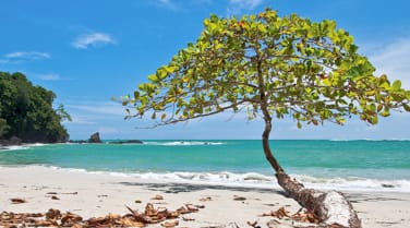 Costa Rica - types - honeymoons