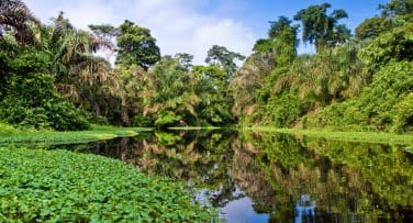 Costa Rica 'Costa Rican Nature Odyssey'