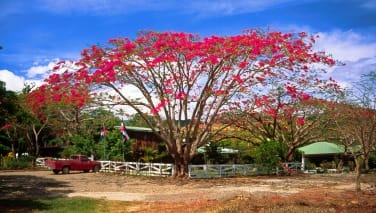 Costa Rica - themes - beach