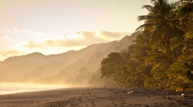 Costa Rica - themes - wildlife