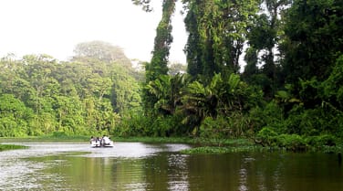 Costa Rica - types - family