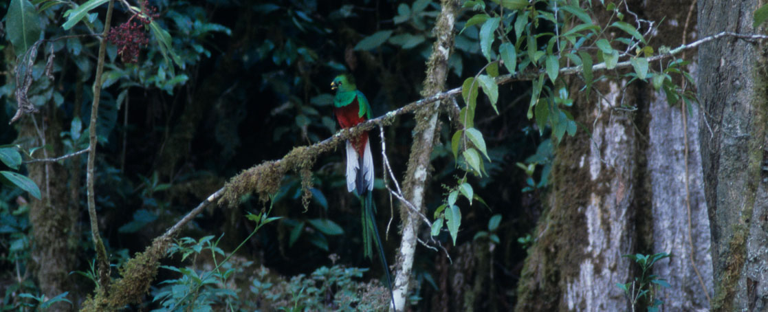 costa rica central highlands