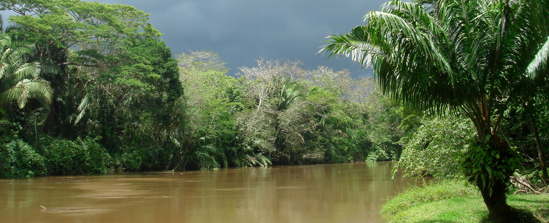 costa rica northern lowlands