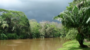 Remote wetland habitat teeming with wildlife