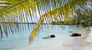 Take your pick of pristine Pacific beach