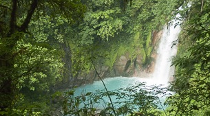 Electric blue waters and lush volcanic forests