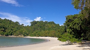 Carara Reserve & Tarcoles river