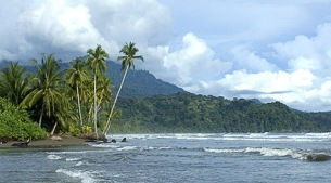 Wild, lush coast and marine reserve