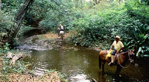 Rural ranch and nearby wetlands