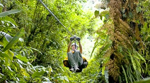 Whizzing through the canopy