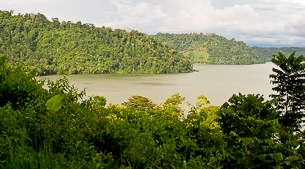 Remote rainforest biodiversity
