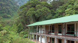 Peaceful cloud forest reserve