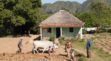 Cuba 'Day Walks in Rural Cuba'