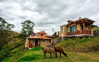 Llullu Llama hostel