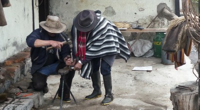 Ecuador - types