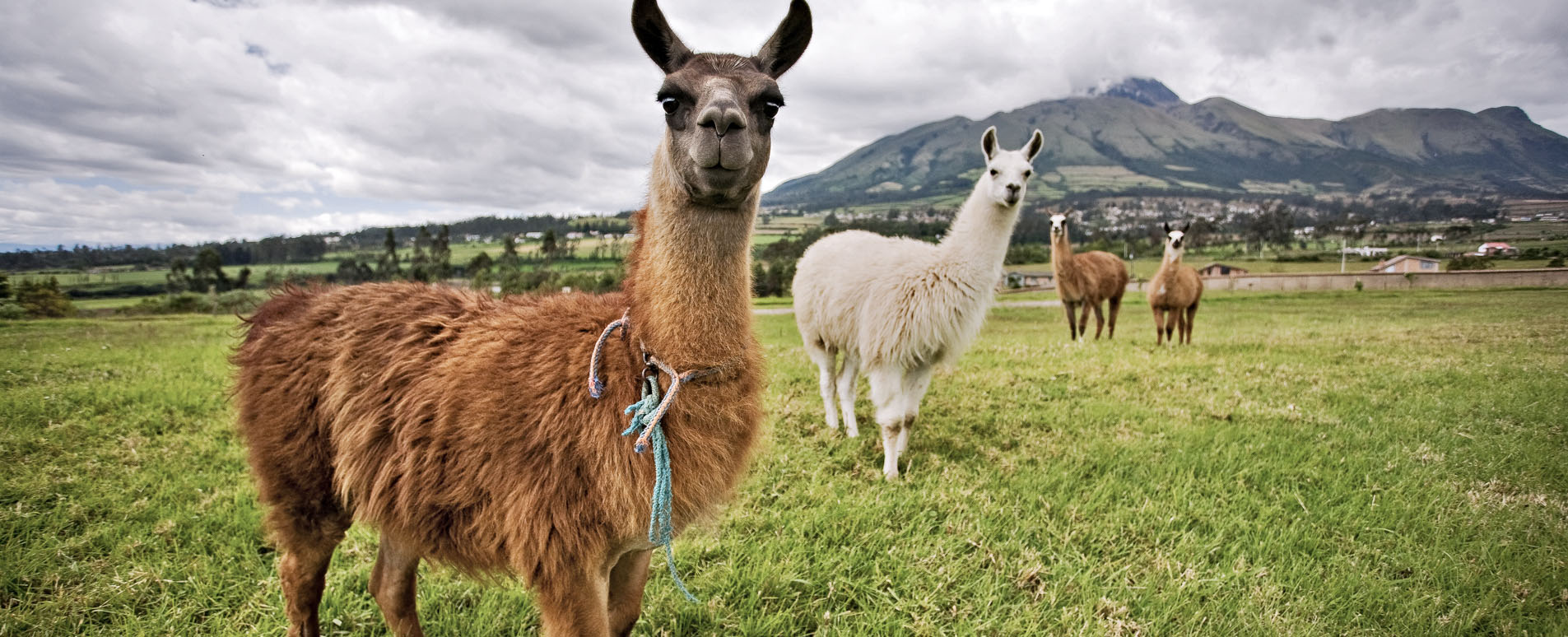 ecuador family holidays