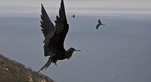 Ecuador's other wildlife paradise