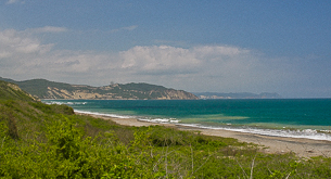 Lush forest, indigenous communities & wild pacific coast