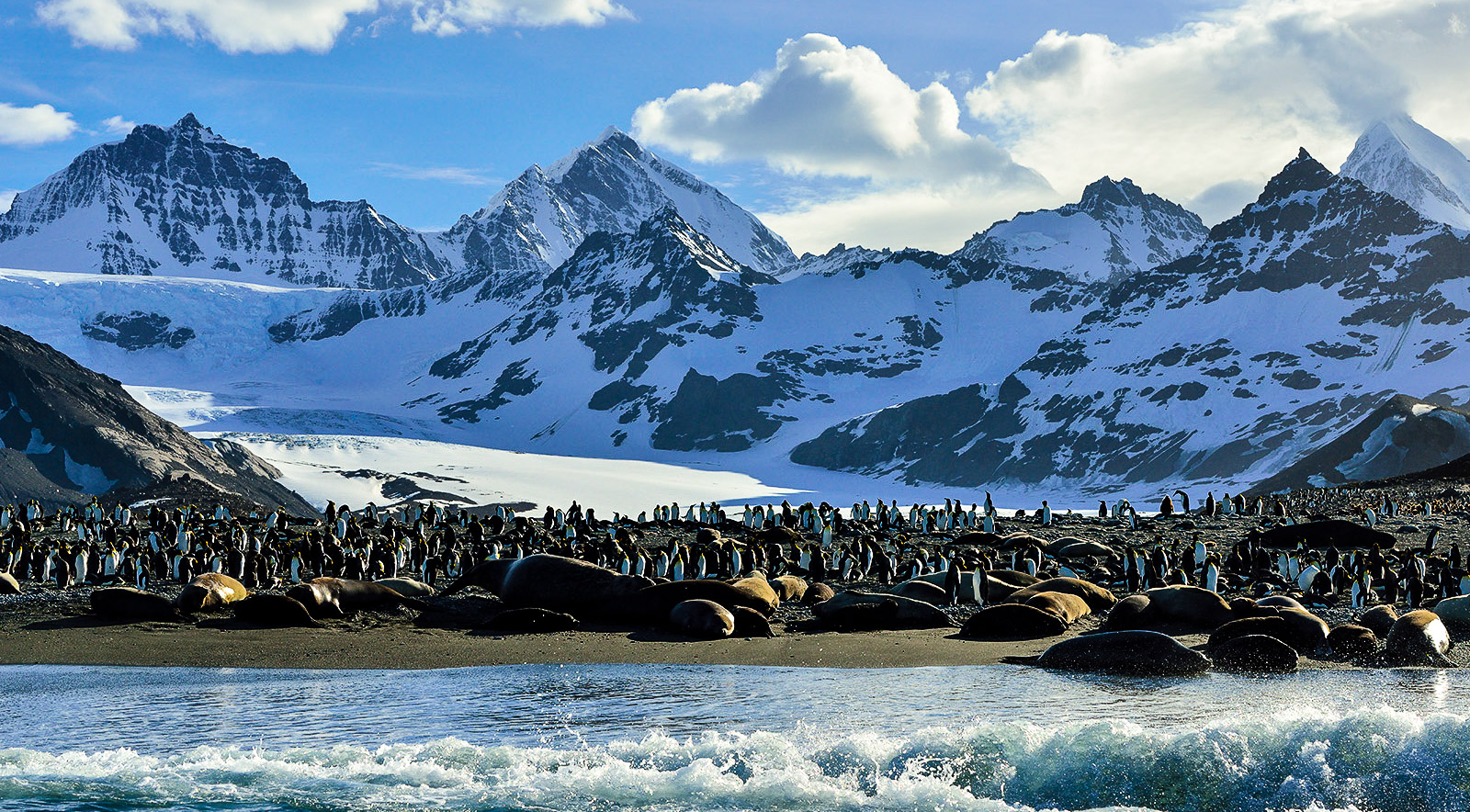 Antarctica - guide - regions