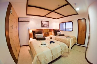 Cormorant cabin Standard twin