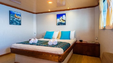 Galapagos Seaman Journey cabin Matrimonial cabin