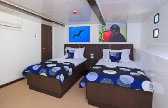 Natural Paradise cabin Lower Deck Standard Cabin