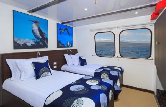 Natural Paradise cabin Main Deck Standard Cabin