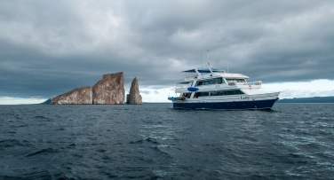 Galapagos - themes - birdwatching