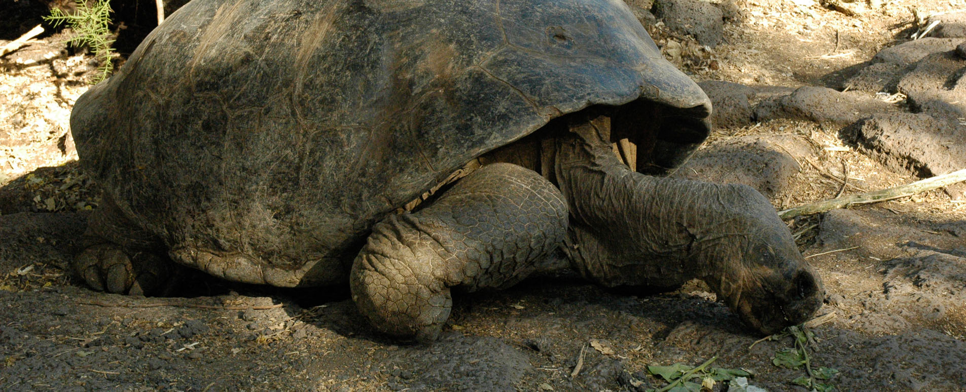 galapagos family holidays