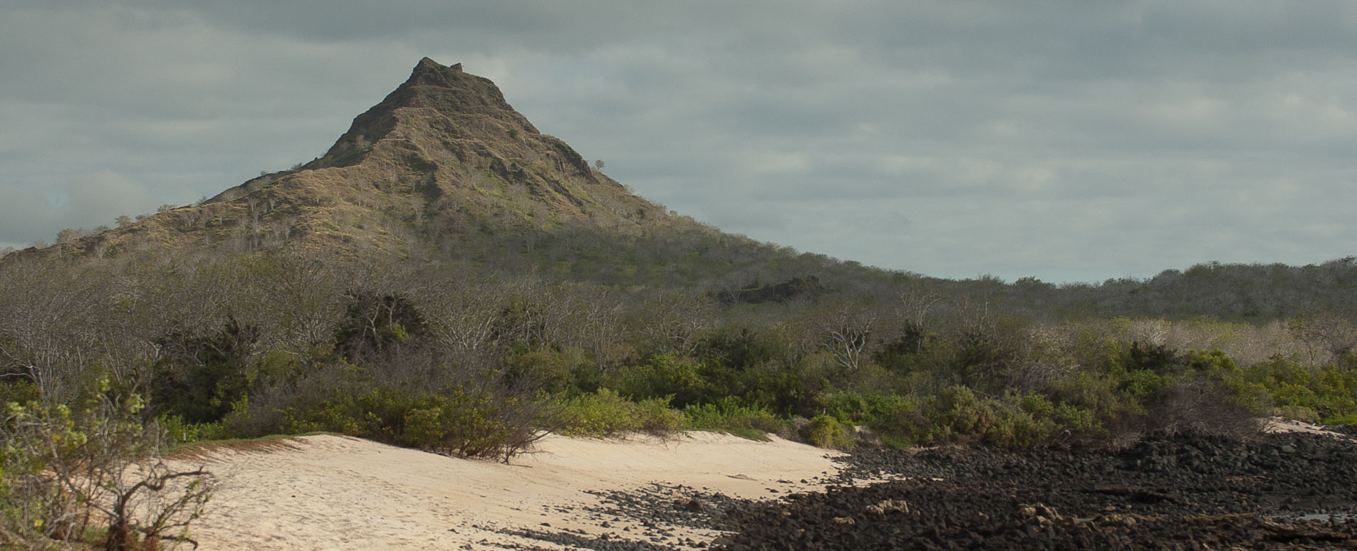 galapagos tailor made holidays