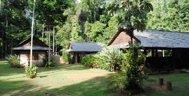 Atta Rainforest Lodge, Iwokrama Canopy Walkway