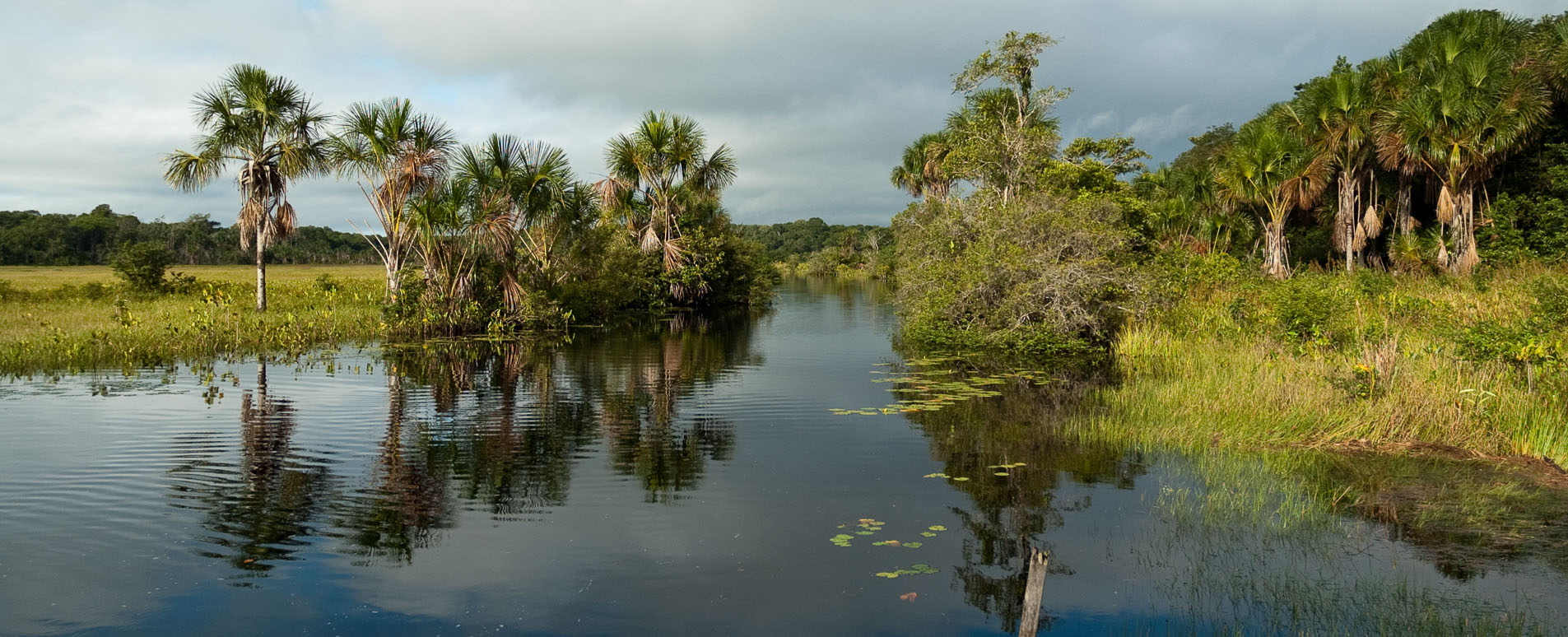 guyana touring holidays