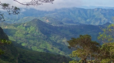 Panama - themes - birdwatching